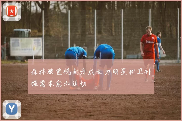 森林狼重视麦丹成长为明星控卫补强需求愈加迫切